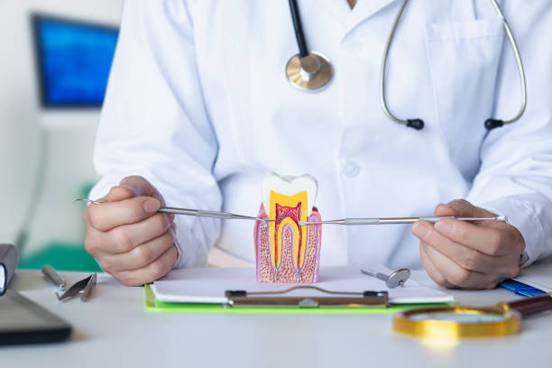 Best Emergency Wisdom Tooth Extraction in Lincoln Village, OH
